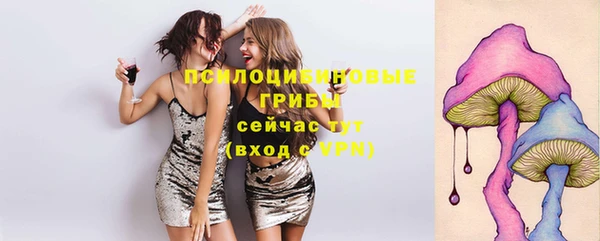 дмт Заводоуковск
