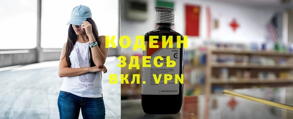 дмт Заводоуковск