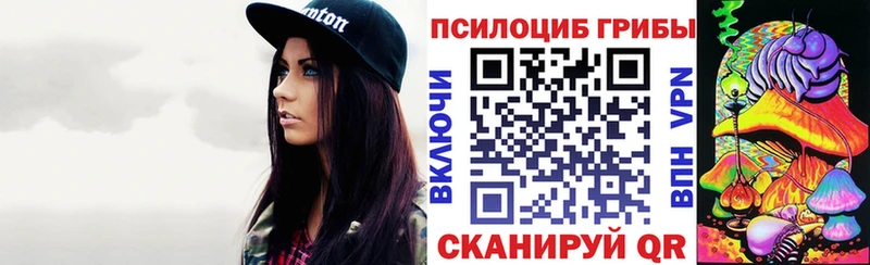 даркнет клад  Юрьев-Польский  Псилоцибиновые грибы прущие грибы 
